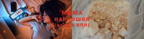 индика Алексин