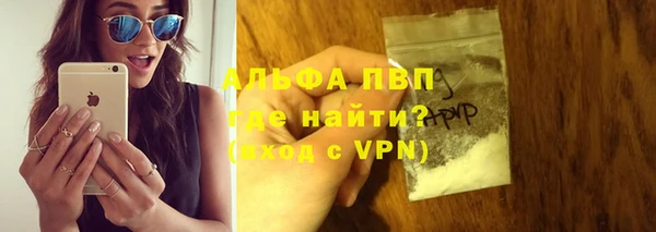 индика Алексин