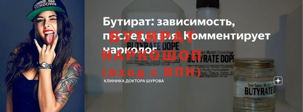 индика Алексин