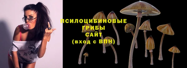 стафф Алзамай