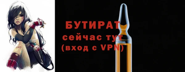 индика Алексин