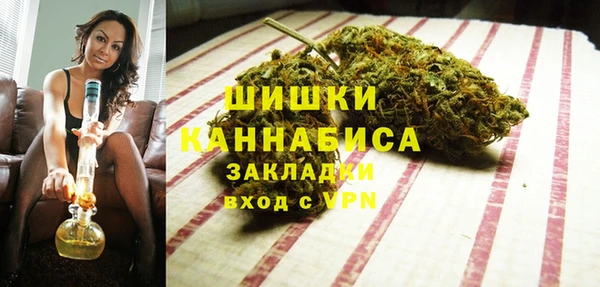 индика Алексин