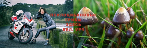 индика Алексин