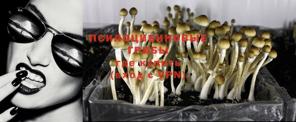 индика Алексин