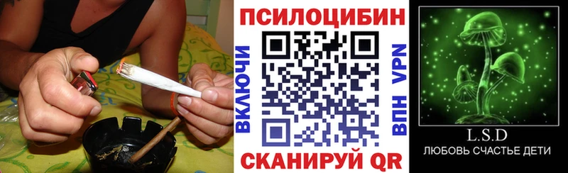 Псилоцибиновые грибы прущие грибы  Лаишево 